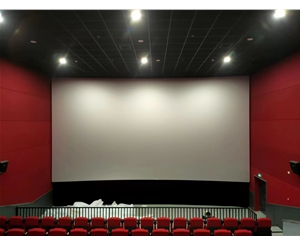 3d电影银幕该如何选择？